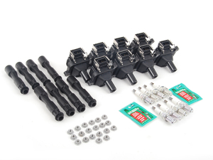 Genuine BMW Ignition Service Kit - E39 540i, E38 740i/il