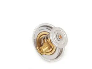 Genuine BMW Thermostat - 80ºC