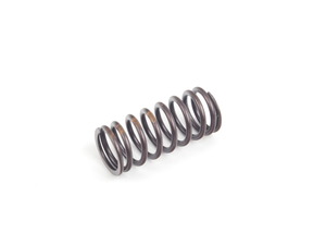 Genuine BMW Valve Spring - Inner (20.1 mm Diameter) - E30 E34