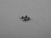 Genuine BMW Genuine BMW Sunroof Headliner Repair Kit - E46 Coupe 1999-2003 54107134073 View 7