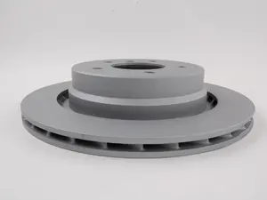 Rear Brake Rotors - Pair (312X20)