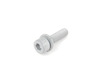 Genuine MINI Fillister head with washer - priced Each  07119905720 View 1