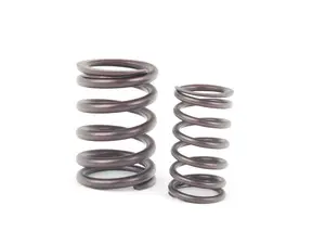 Motorsport Valve Springs - E30 M3, E24 M6, E34 M5, E36 Euro M3 (Priced Per Valve)