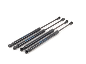 Hood And Trunk Strut Kit