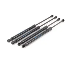 Hood And Trunk Strut Kit