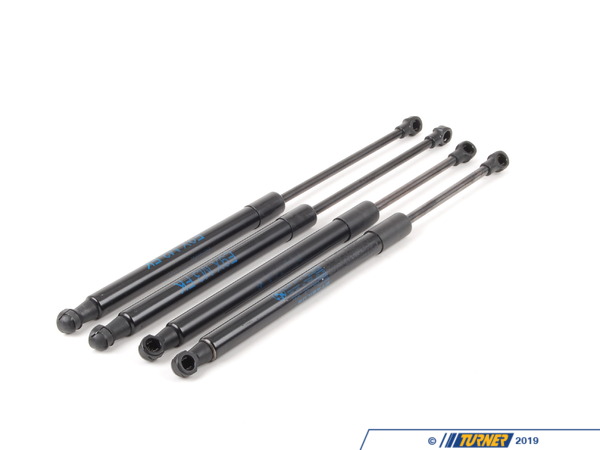 Genuine BMW Hood And Trunk Strut Kit 51237900795KT