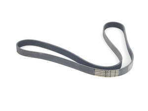 Accessory Belt - Water Pump/Alternator
