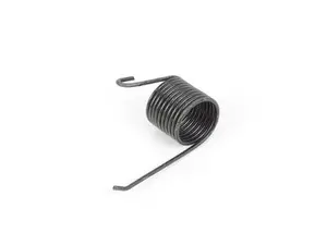 Retainer Spring - E10
