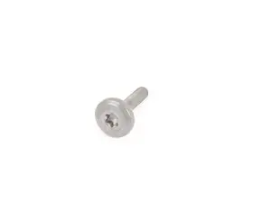 ZF Torx Screw 
