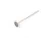 TRW Exhaust Valve - Priced Each N12 N16 1.6L Engine 11347533885 View 1
