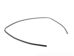 Genuine BMW Front Windshield gasket - E82 E88