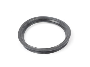 Fuel Sender Seal