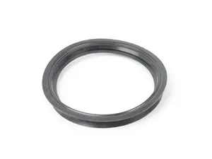 Fuel Sender Seal