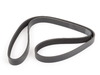 Continental OEM MINI Engine Ribbed V-belt 11287520199 11287520199 View 1
