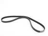 Continental Multi Rib Accessory Belt 11287545120 View 4