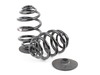 Genuine BMW Rear Spring Set - Genuine BMW - Standard Height - E36 318i 325i 328i 33539059277 View 1