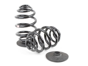 Rear Spring Set - Genuine BMW - Standard Height - E36 318i 325i 328i