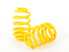 Suspension Techniques Lowering Spring Set 65257 View 2