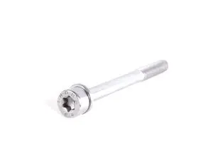 Genuine BMW Isa Screw With Washer - 07129905554