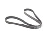Continental Belt - Serpentine Belt - F10 F12 E70M E71M + 11287631824