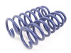 H&R H&R Sport Spring Set - F02 750Li 28999-5 View 2