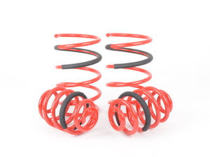Lowering Spring Kit