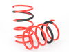 Megan Racing Lowering Spring Kit MRLSBE36 View 2