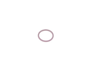 GASKET RING