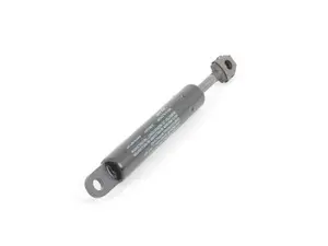Glove Box Gas Pressurized Spring - E38