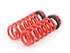 Megan Racing Lowering Spring Kit MRLSBF30 View 2