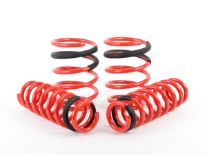 BMW E90 Lowering Spring Kit