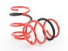 Megan Racing Lowering Spring Kit MRLSBE46 View 2