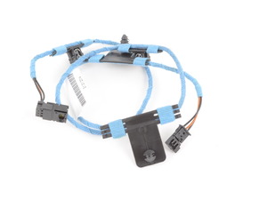Genuine BMW Led Module, B-Pillar, Left - 63319288984 - F36