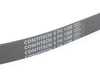 Continental Accessory Drive Belt Service Kit ADK0041P View 7