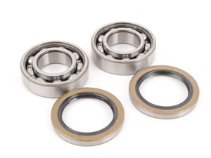 Rear Wheel Bearing Kit - E21 320i 2002 2002tii