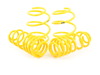 Suspension Techniques BMW E39 Lowering Spring Set - Touring 65412 View 1