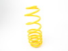 Suspension Techniques BMW E39 Lowering Spring Set - Touring 65412 View 2