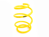 Suspension Techniques BMW E39 Lowering Spring Set - Touring 65412 View 4