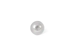 FILLISTER HEAD SCREW