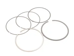 Rein Piston Ring Set 