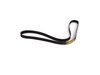 Continental Belt - Serpentine Belt - E38 E39 540i (99-03) X5 11281432724 View 1