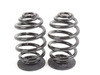 Genuine BMW Genuine BMW Set Coil Springs - 33539065357 - E36 33539065357 View 1