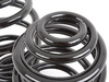 Genuine BMW Genuine BMW Set Coil Springs - 33539065357 - E36 33539065357 View 3