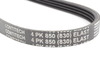 Continental OEM Continental A/C Belt - E90 335d 64557793608 View 2