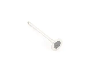 Genuine BMW .xhaust Valve - 11347598273