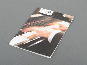 Genuine BMW Operating Instructions, Radi - 01410013589