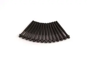 Genuine BMW Cylinder Head Bolt Set - M52TU M54