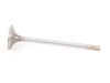 Genuine MINI Genuine MINI Intake Valve 30,0/5,94mm - 11347513019 11347513019 View 2