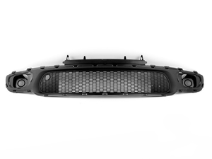 Genuine MINI Grid, Bumper Front Schwarz - 51117182623