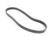 Continental Multi Rib Belt  11287604014 View 1
